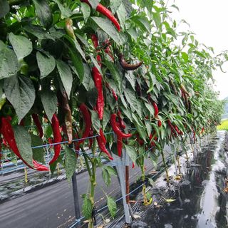 이종권님의 자유주제 · 자유게시판 작성글 사진