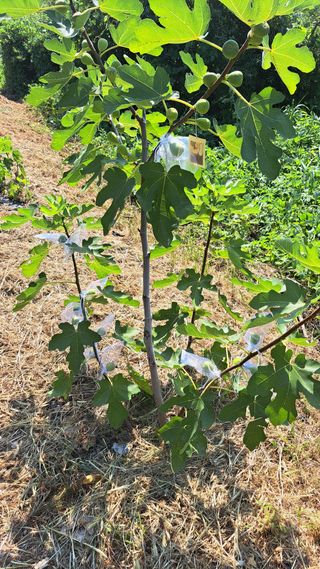 주윤발이님의 자유주제 · 자유게시판 작성글 사진