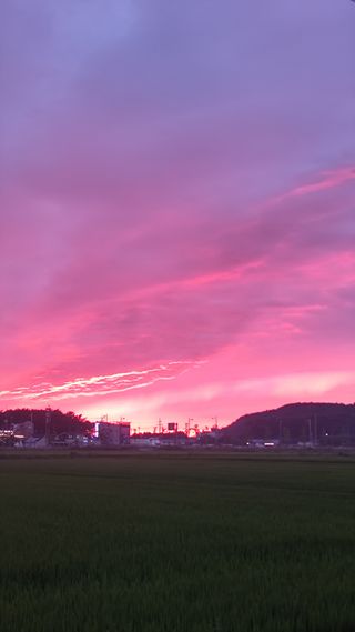 윤충기님의 자유주제 · 자유게시판 작성글 사진
