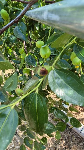 김진님의 자유주제 · 자유게시판 작성글 사진