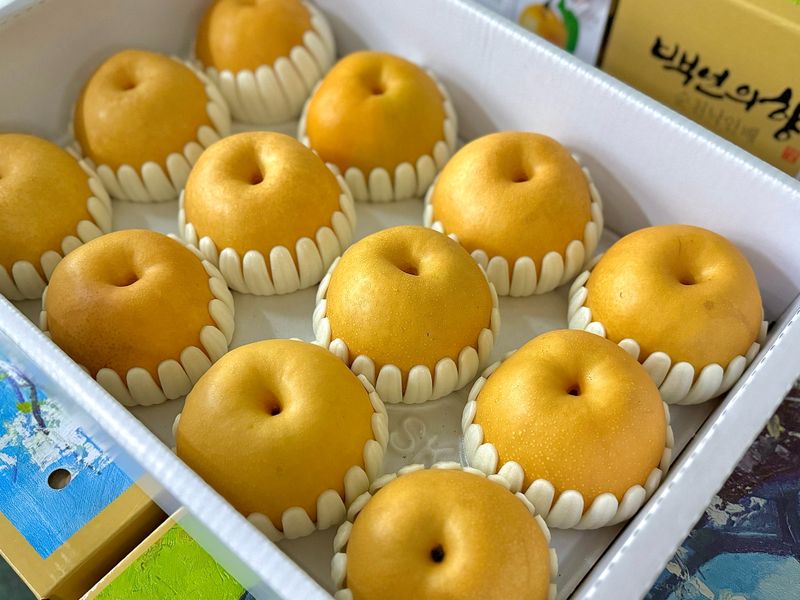 농부손녀님의 장터 판매 상품 [[첫 출하] 아삭달콤한 임금님 햇 원황 배 ] 첨부 사진