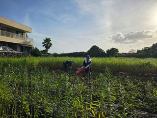 제주님의 참깨 · 자유게시판 작성글 사진