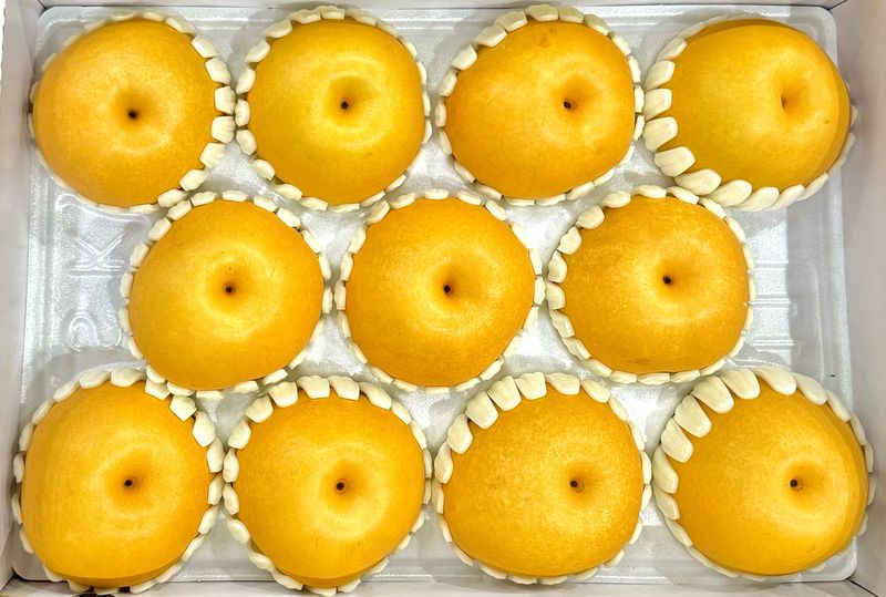 농부손녀님의 장터 판매 상품 [[첫 출하] 아삭달콤한 임금님 햇 원황 배 ] 첨부 사진