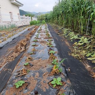 이종권님의 자유주제 · 자유게시판 작성글 사진