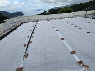 고추농사 정 미라님의 자유주제 · 자유게시판 작성글 사진