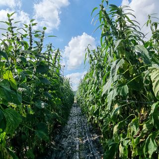 이종권님의 자유주제 · 자유게시판 작성글 사진