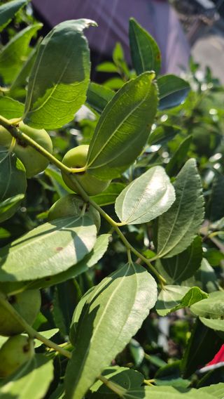 김진님의 자유주제 · 자유게시판 작성글 사진