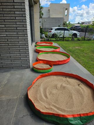 제주님의 참깨 · 자유게시판 작성글 사진