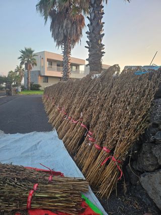 제주님의 참깨 · 자유게시판 작성글 사진