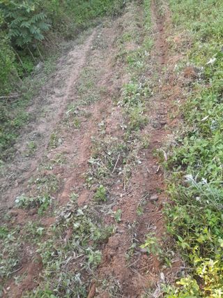 김민수산에서농사중님의 자유주제 · 자유게시판 작성글 사진