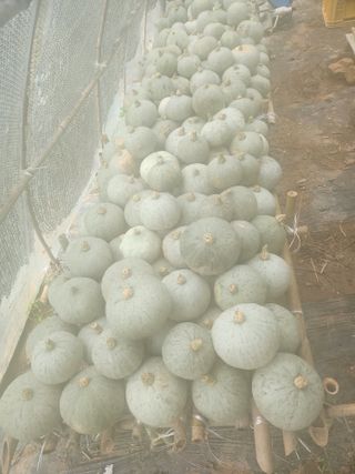 천지개벽대구님의 자유주제 · 자유게시판 작성글 사진