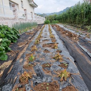 이종권님의 자유주제 · 자유게시판 작성글 사진