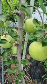 팜모닝 자유주제·자유게시판 게시글 이미지