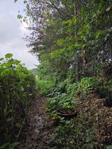 팜모닝 자유주제·자유게시판 게시글 이미지