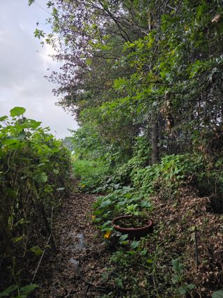 화니네농장님의 자유주제 · 자유게시판 작성글 사진