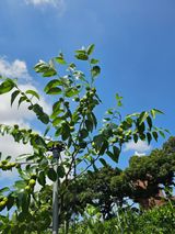 팜모닝 자유주제·자유게시판 게시글 이미지