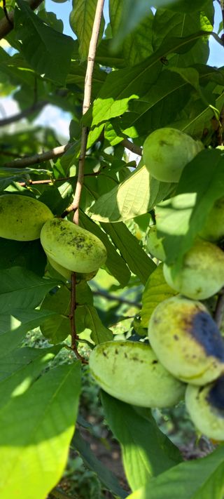백동감님의 자유주제 · 자유게시판 작성글 사진