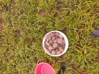 김민수산에서농사중님의 자유주제 · 자유게시판 작성글 사진