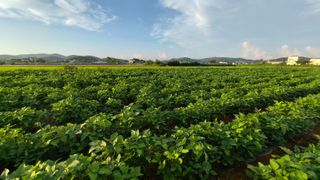 윤충기님의 자유주제 · 자유게시판 작성글 사진