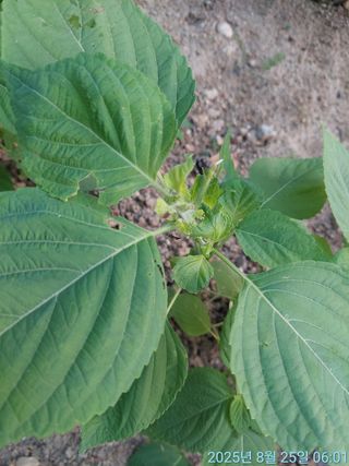 황대헌님의 자유주제 · 자유게시판 작성글 사진