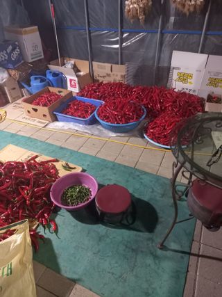 전원생활의여유님의 작성글 사진