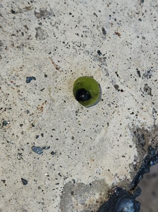 이창신님의 자유주제 · 자유게시판 작성글 사진