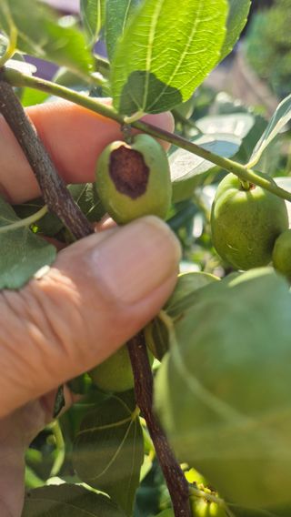 김진님의 자유주제 · 자유게시판 작성글 사진