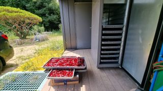 아침농원님의 자유주제 · 자유게시판 작성글 사진