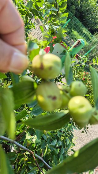 김진님의 자유주제 · 자유게시판 작성글 사진