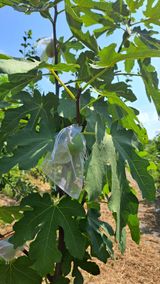 팜모닝 자유주제·자유게시판 게시글 이미지