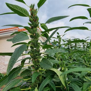 이종권님의 자유주제 · 자유게시판 작성글 사진