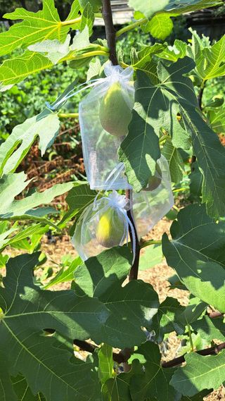 주윤발이님의 자유주제 · 자유게시판 작성글 사진