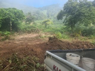 이호성님의 자유주제 · 자유게시판 작성글 사진