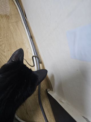 박미아님의 자유주제 · 자유게시판 작성글 사진