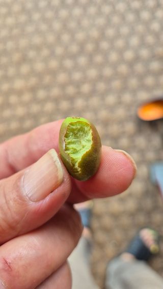 김진님의 자유주제 · 자유게시판 작성글 사진