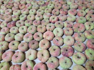 김안식~납작복숭아님의 자유주제 · 자유게시판 작성글 사진