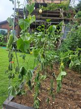 팜모닝 자유주제·자유게시판 게시글 이미지