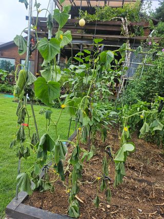 어홍님의 자유주제 · 자유게시판 작성글 사진