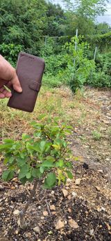 팜모닝 자유주제·자유게시판 게시글 이미지