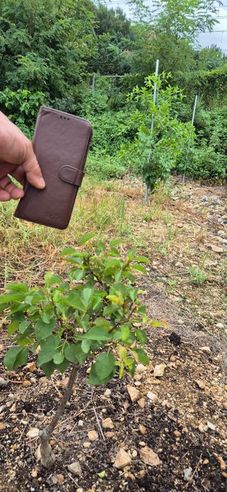 전성태님의 자유주제 · 자유게시판 작성글 사진