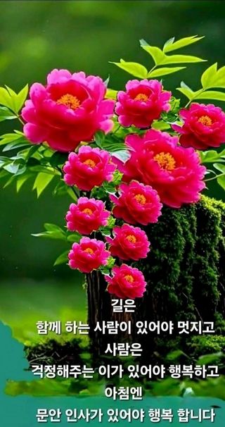 SOUL님의 자유주제 · 자유게시판 작성글 사진