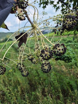 박주성님의 자유주제 · 자유게시판 작성글 사진