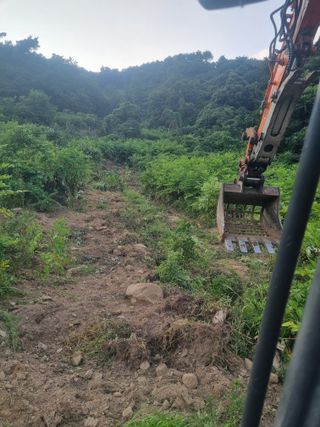 이호성님의 자유주제 · 자유게시판 작성글 사진