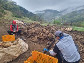 이호성님의 작성글 사진