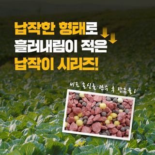 누보농장님의 자유주제 · 자유게시판 작성글 사진