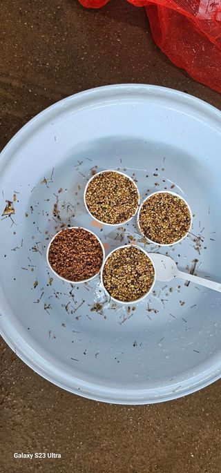 박주성님의 자유주제 · 자유게시판 작성글 사진