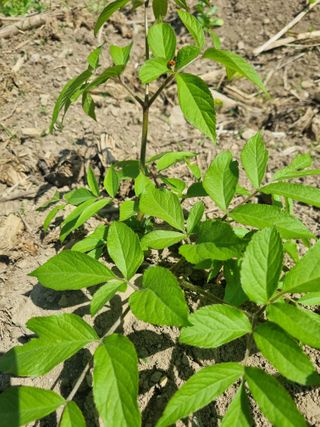 이호성님의 작성글 사진