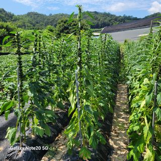 이윤미님의 자유주제 · 자유게시판 작성글 사진