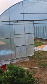 팜모닝 자유주제·자유게시판 게시글 이미지