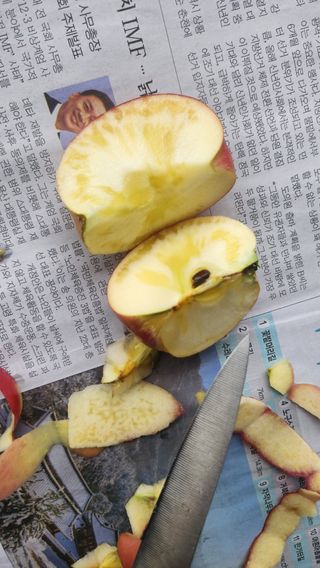 전용표님의 자유주제 · 자유게시판 작성글 사진